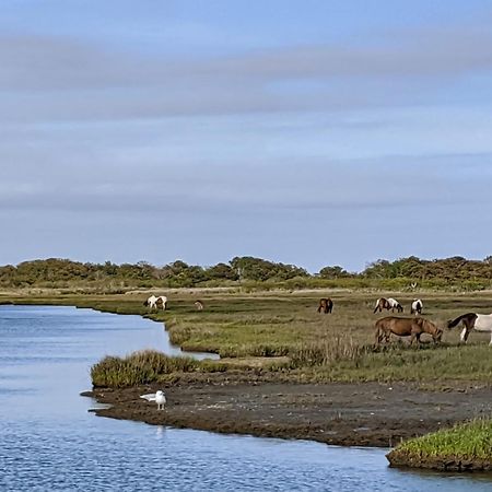 Апартаменты Bahia Vista I Ошен Сити Номер фото